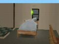 ���� Sims2