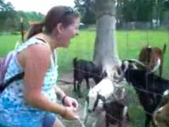 Хехе )) Говорящая коза
