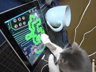 Кот и Apple iPad