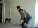Кот прыгает как кенгуру...