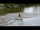 Неудачный старт девушки на водных лыжах